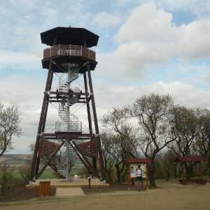 hustopece-rozhledna-1.JPG