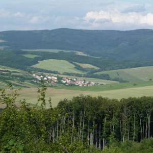 Obrázek