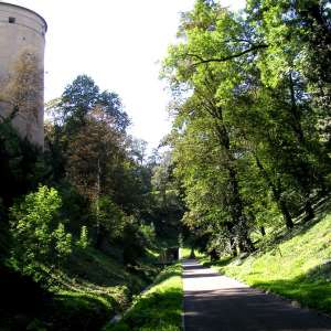 Obrázek