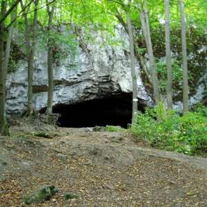 Obrázek