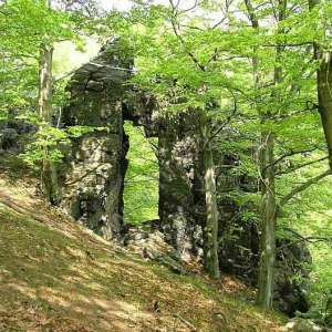 Obrázek