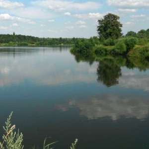 Obrázek