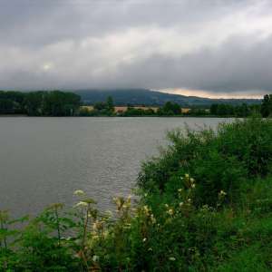Obrázek