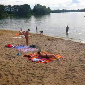 Obrázek