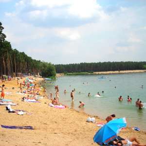 Obrázek