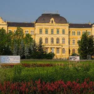 Obrázek