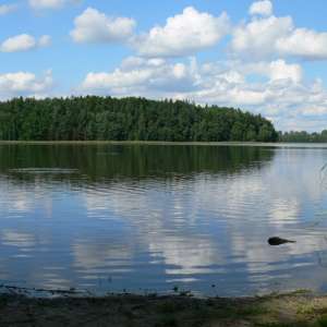 Obrázek