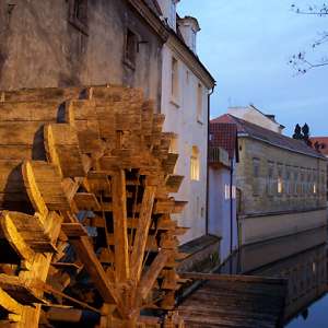 Obrázek
