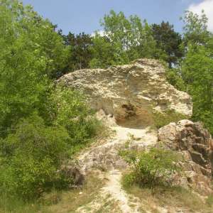 Obrázek