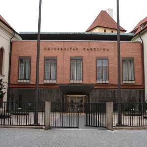 Obrázek