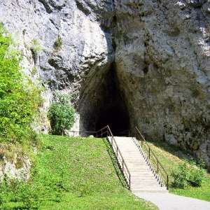 Obrázek