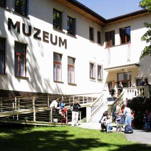Obrázek