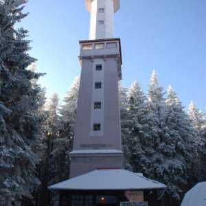 Obrázek