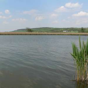 Obrázek