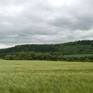 Obrázek