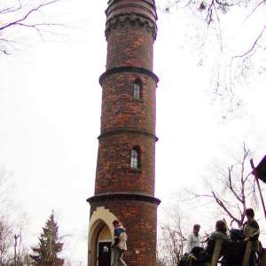 Obrázek