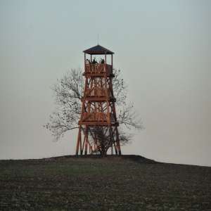 Obrázek
