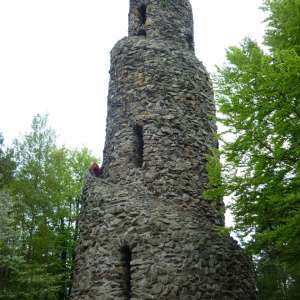 Obrázek