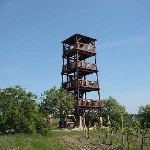 Obrázek