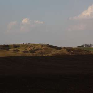 Obrázek
