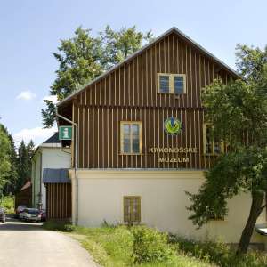Obrázek