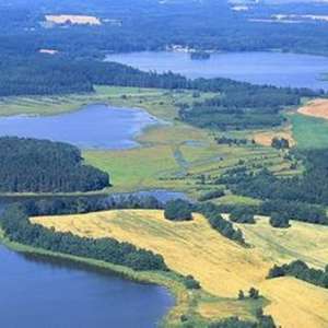 Obrázek