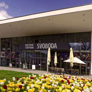 Obrázek