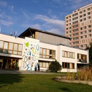 Obrázek