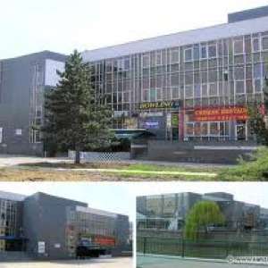 Obrázek