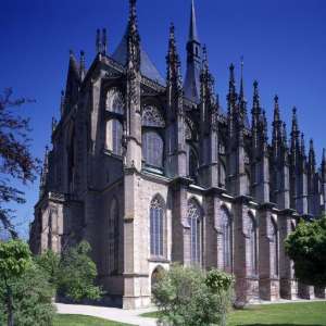 Obrázek