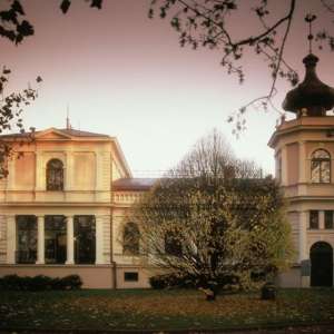 Obrázek