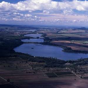 Obrázek