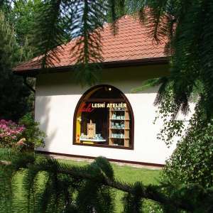Obrázek