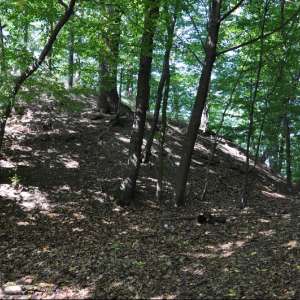 Obrázek