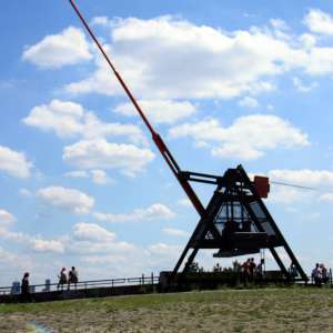 Obrázek