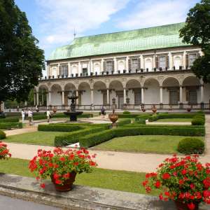 Obrázek
