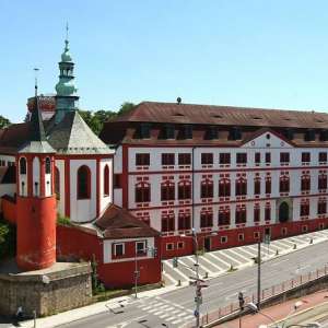 Obrázek