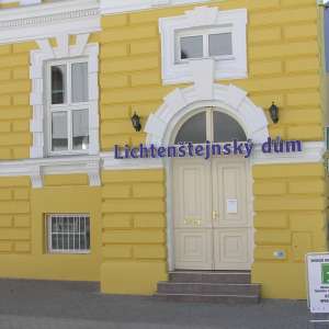 Obrázek