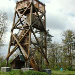 Obrázek