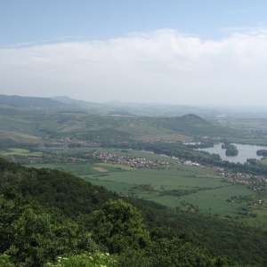 Obrázek
