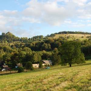 Obrázek