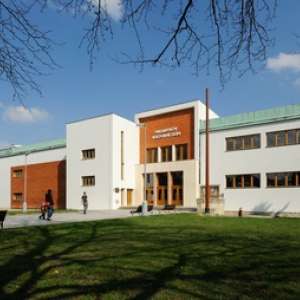 Obrázek