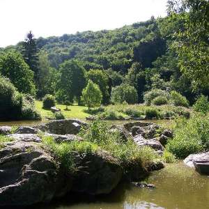 Obrázek