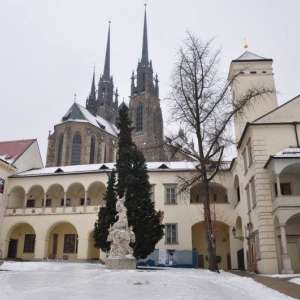Obrázek