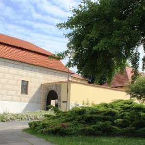 Obrázek