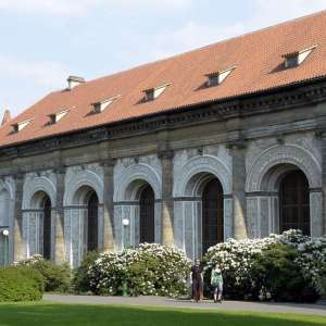 Obrázek