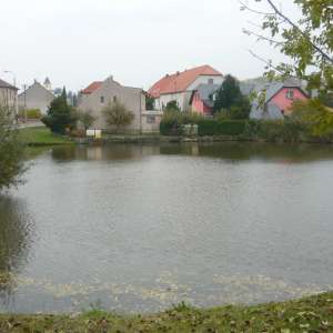 Obrázek