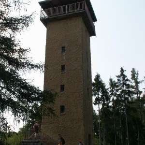 Obrázek