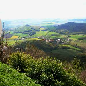 Obrázek