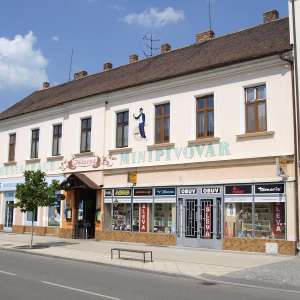 Obrázek